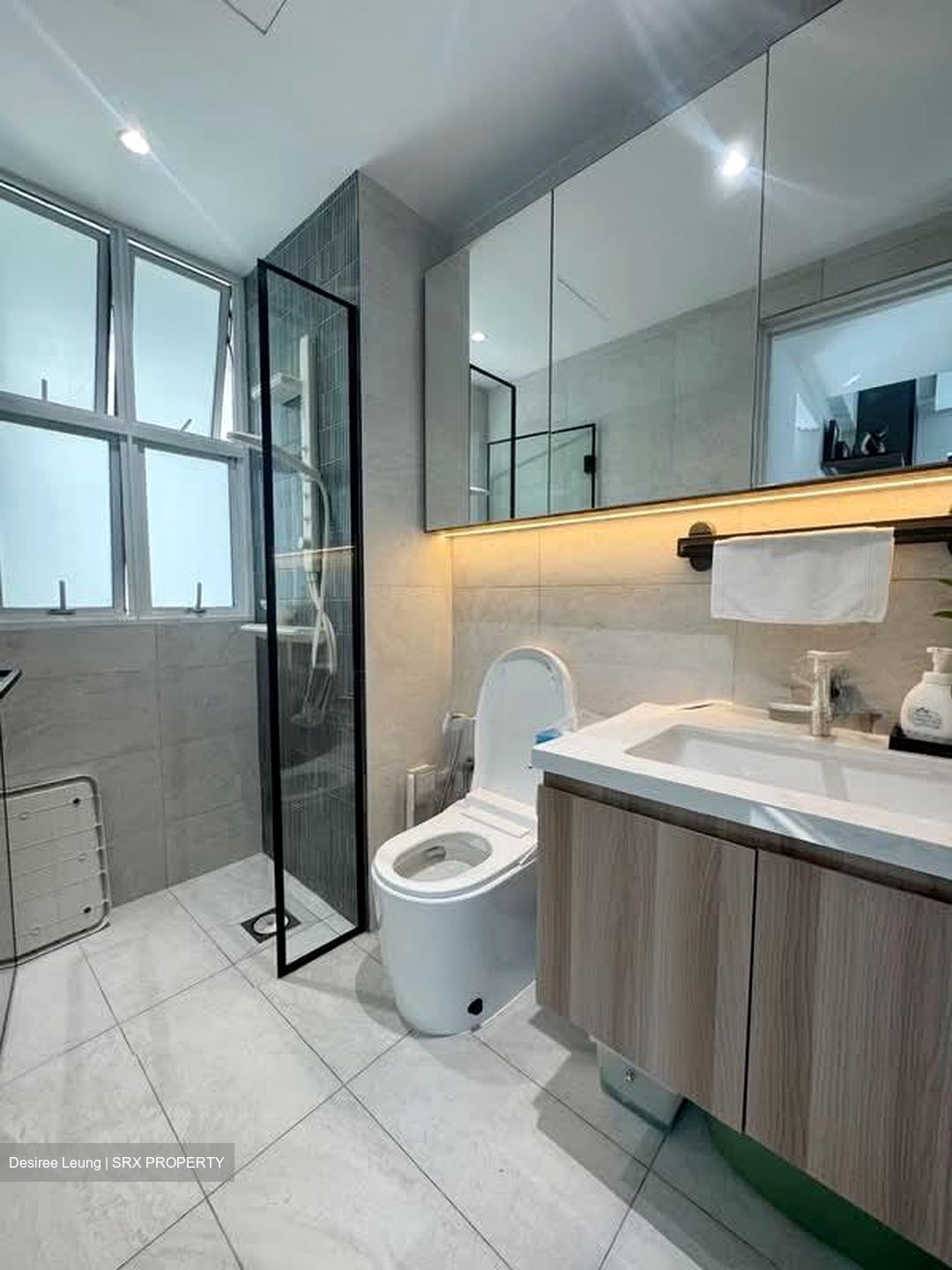 Thomson Euro-asia (D11), Condominium #559411231